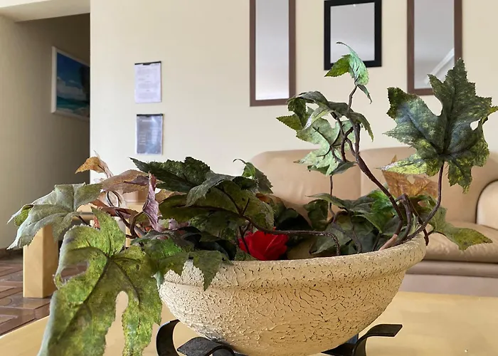 Pe Na Areia Pitangueiras Apartamento Guarujá